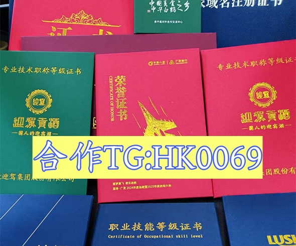 定制证件办理